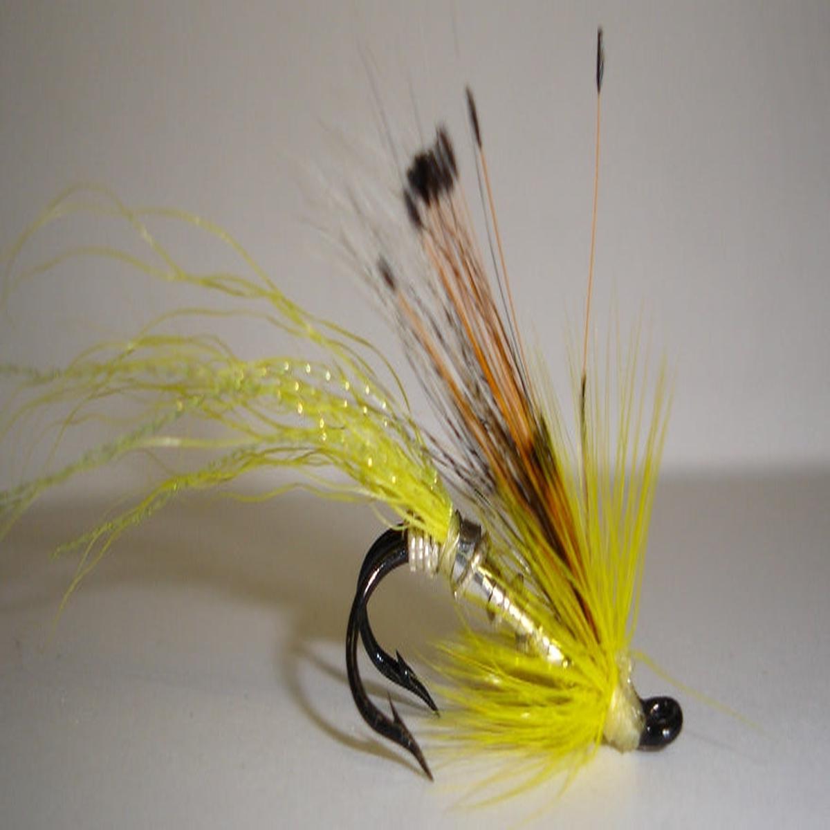 Twinkle Yellow Allys Shrimp