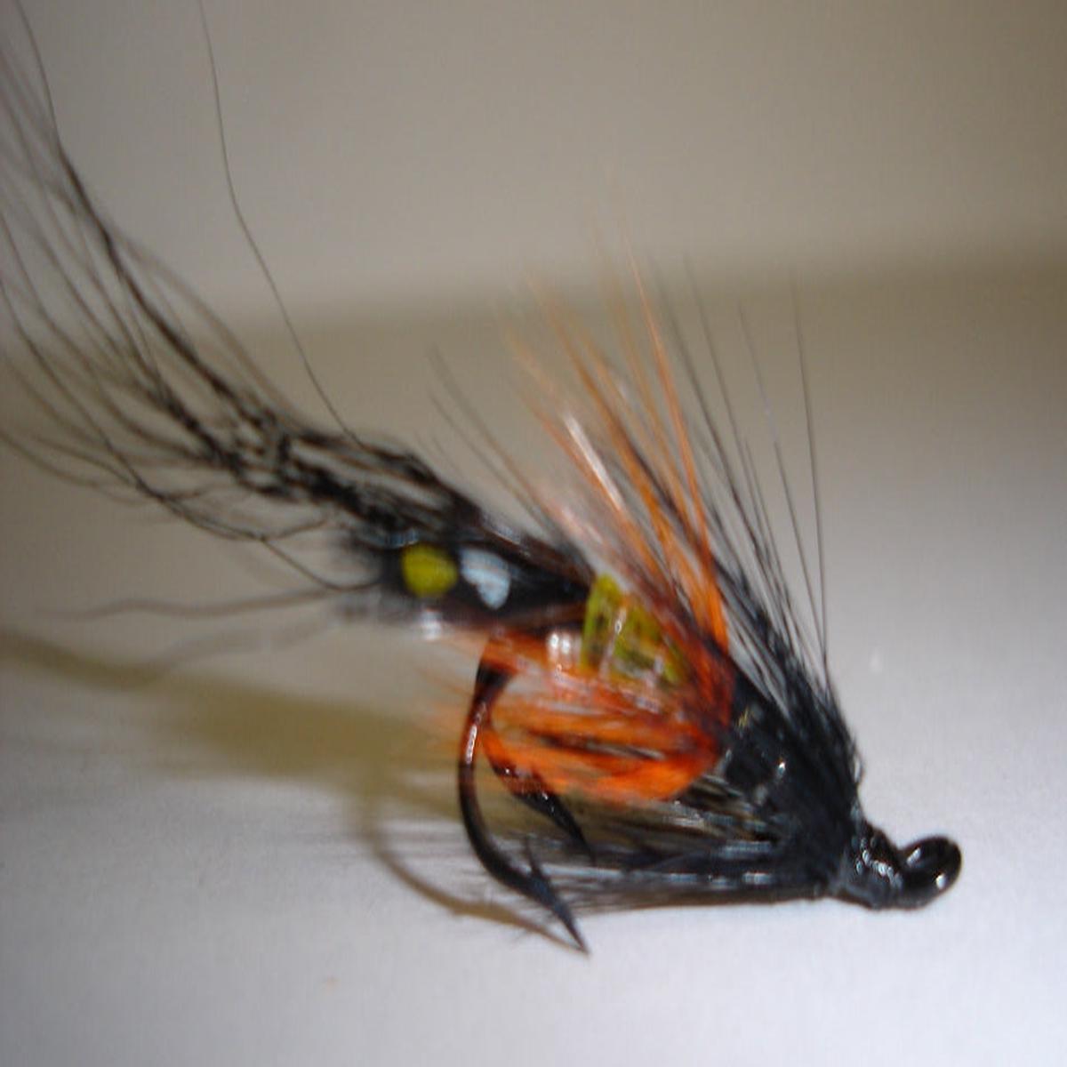 Black Shrimp