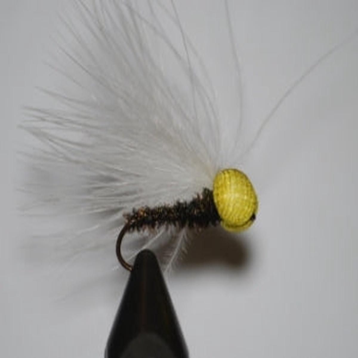Booby White & Yellow