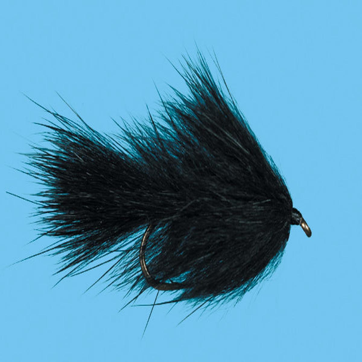 Bunny Leech