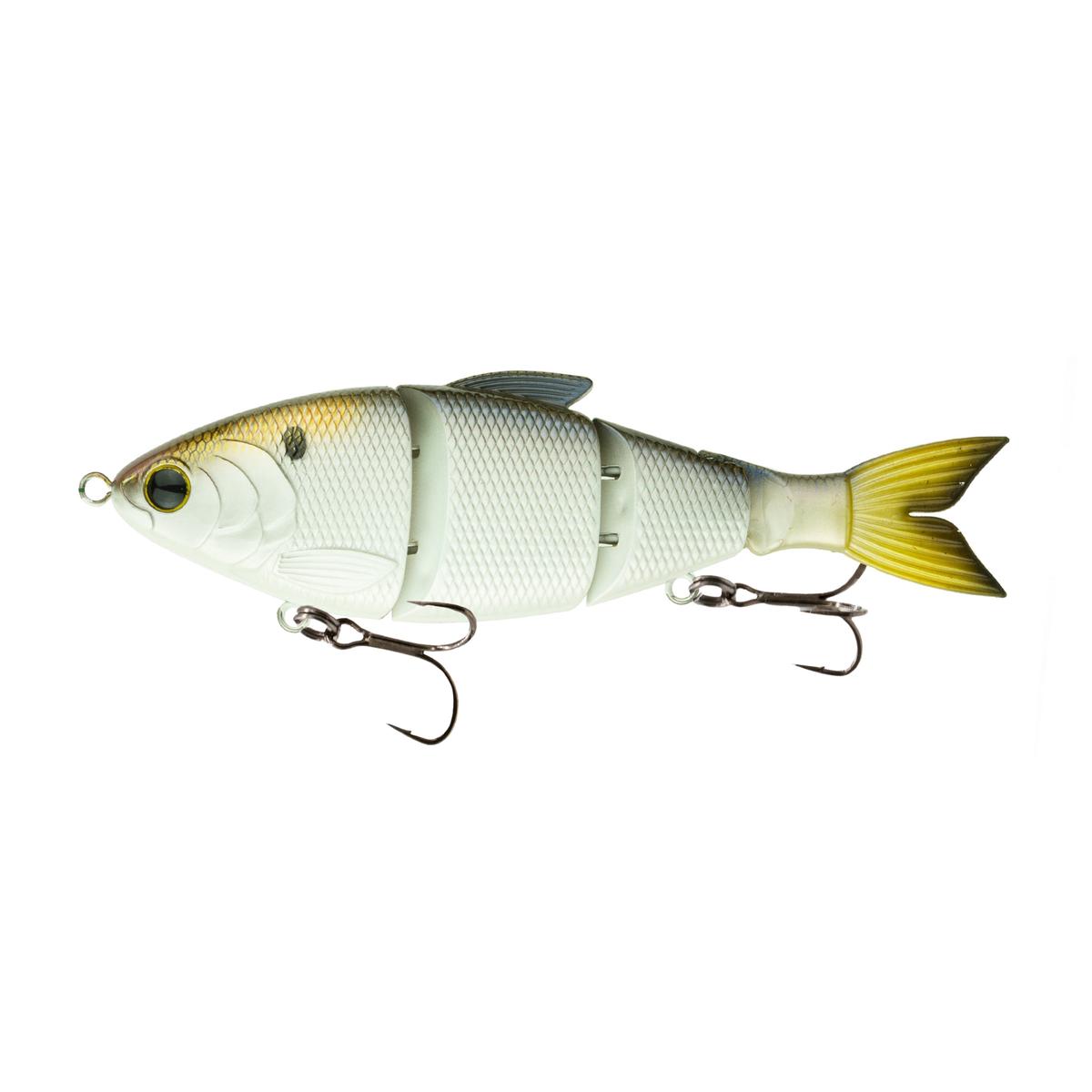 Trace 6" - 4K Shad