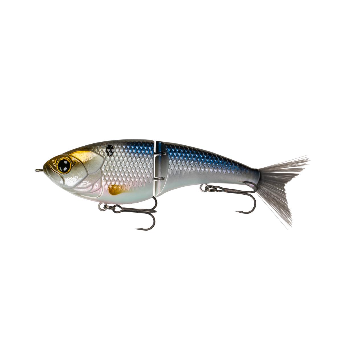 Judo Series - Baitfest