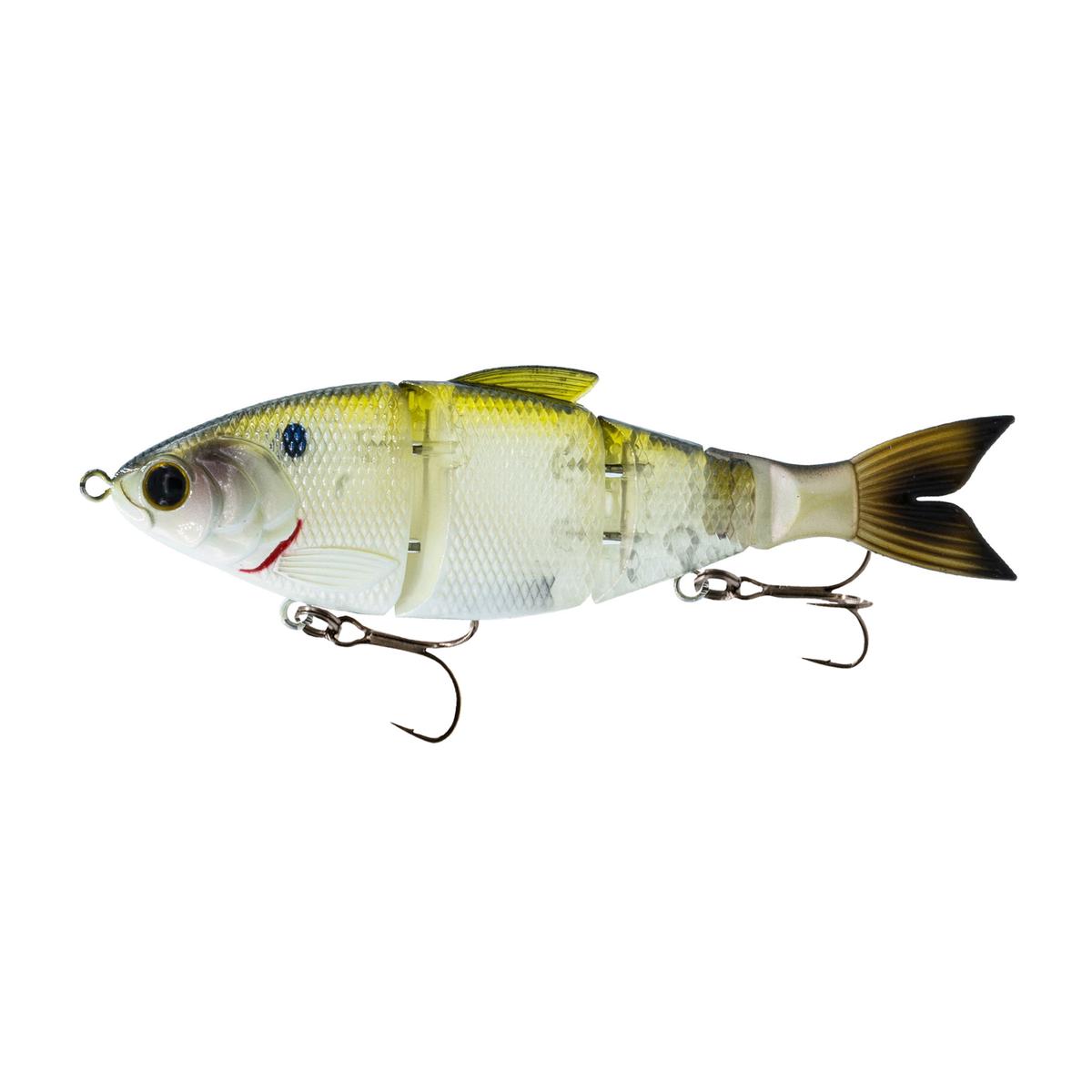 Trace 6" - Clearwater Shad