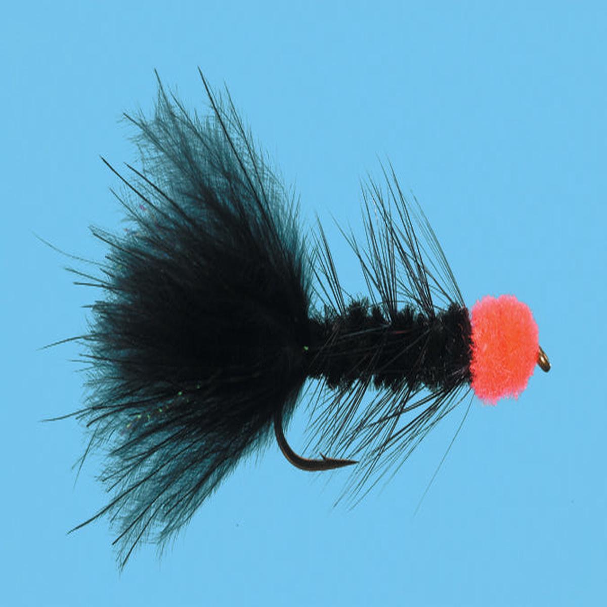 Egg Sucking Leech
