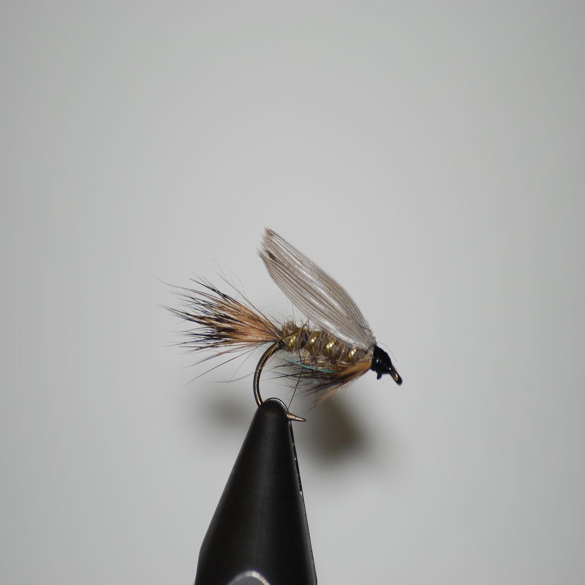 GRHE Wet Fly